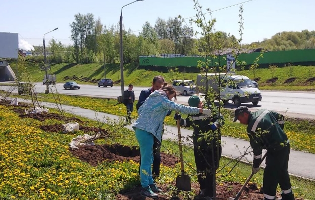 В этом году в Перми прошла большая кампания по озеленению города.