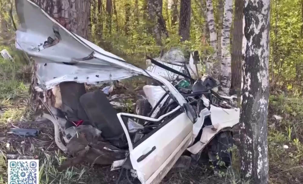 В Перми водитель и пассажир ВАЗа погибли, столкнувшись на высокой скорости с деревом