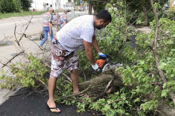 Во время грозы в Перми сломались 64 дерева