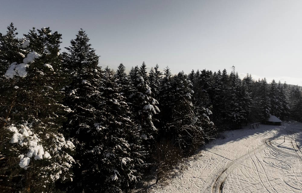 Резкое потепление в Пермском крае начнётся утром 26 декабря