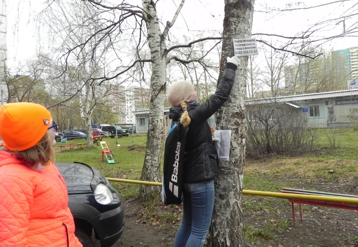 В Перми юные экологи очистили деревья от мусора