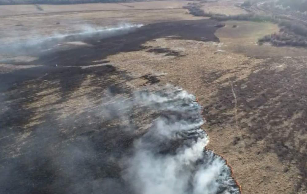 В Пермском крае за сутки произошло 11 возгораний сухой травы