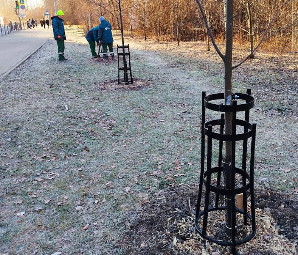 В Перми начали устанавливать для кустарников ограждения от снегоуборочной техники