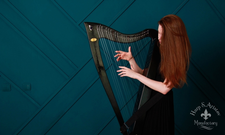 Мастерская  Harp S. Aristov выпустила уже три инструмента