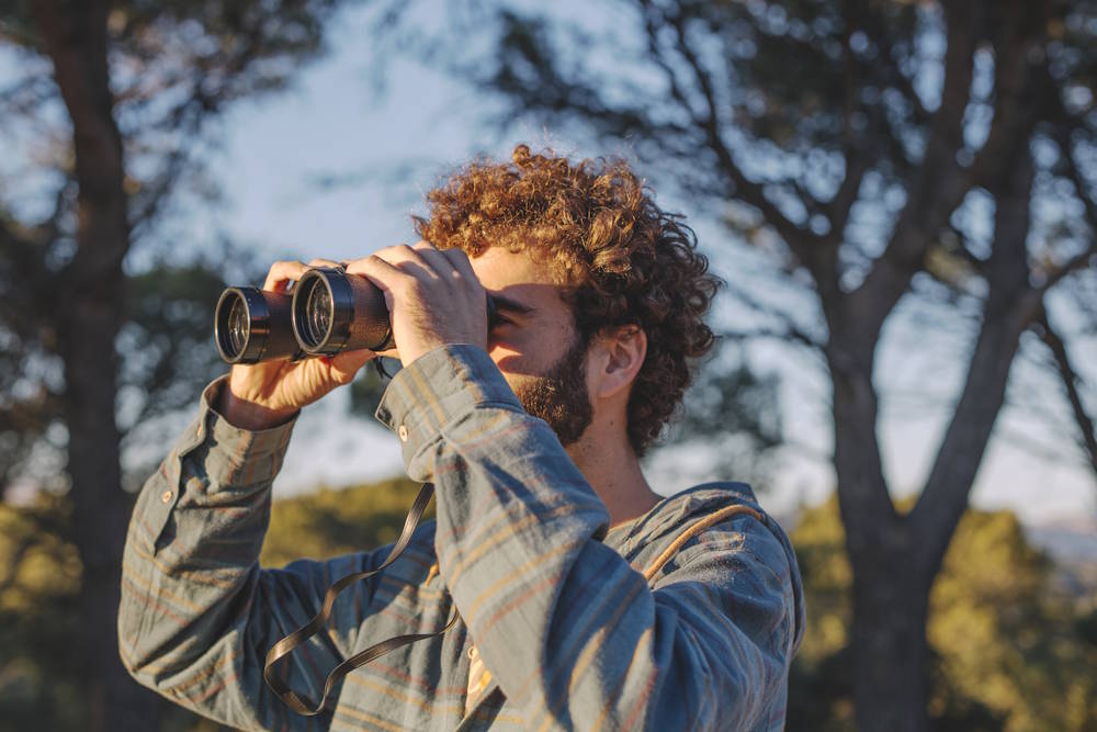 В Перми за последние 40 лет популяция грачей сократилась в 20 раз