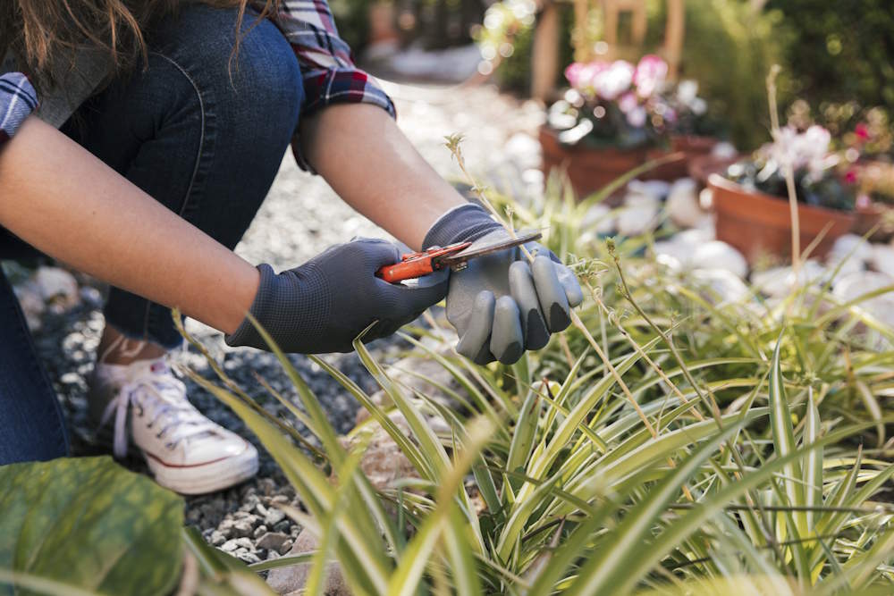 В Перми от автостоянок в центре города потребуют провести озеленение 