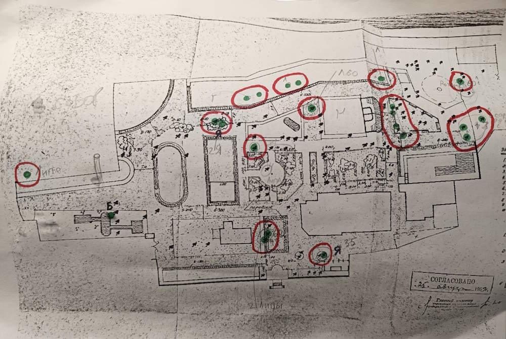Пермские экоактивисты выступили за сохранение старовозрастных деревьев в зоопарке
