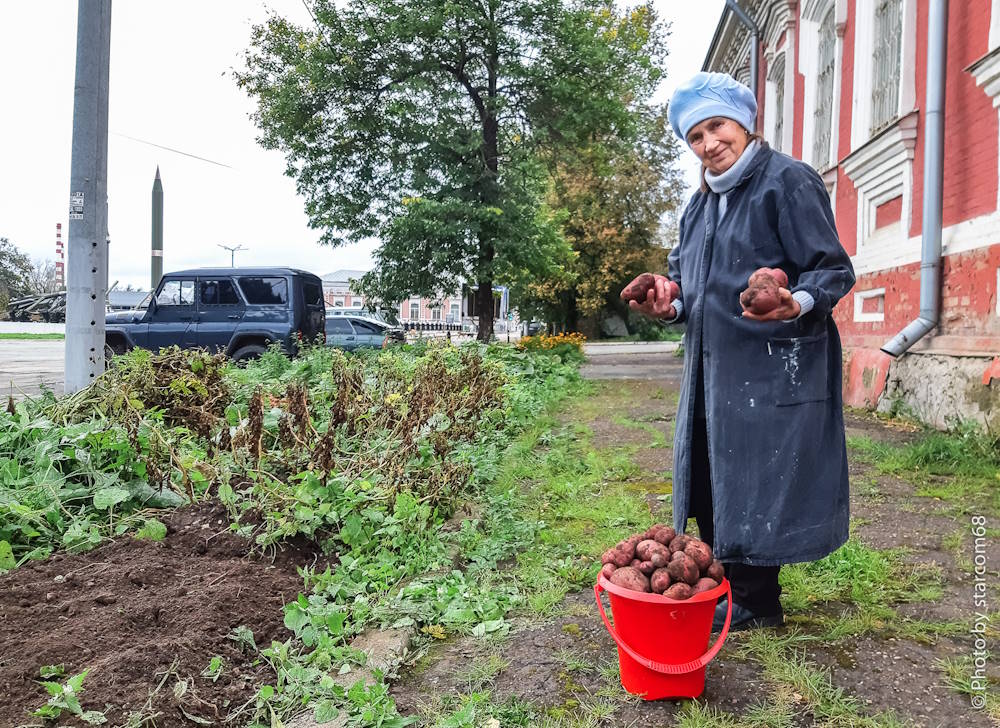 в Перми возрождают огород изобретателя сварки Николая Славянова