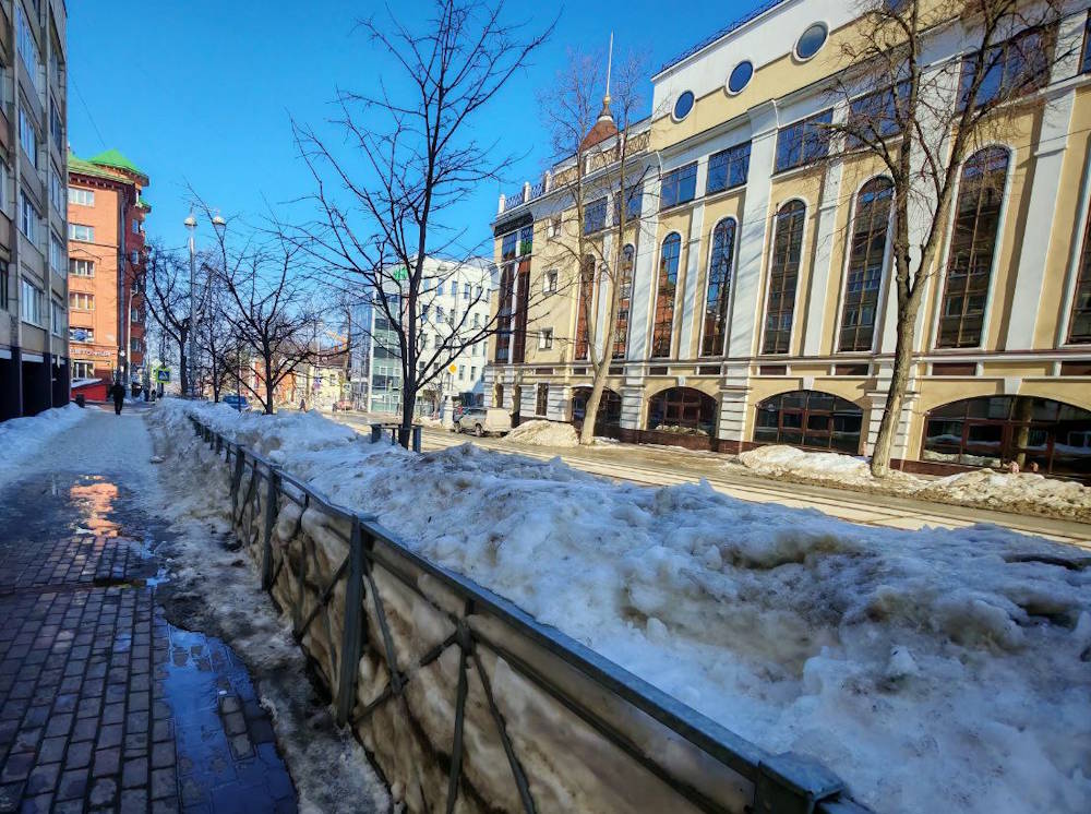 В Перми экоактивисты предлагают не чистить сугробы возле кустарников