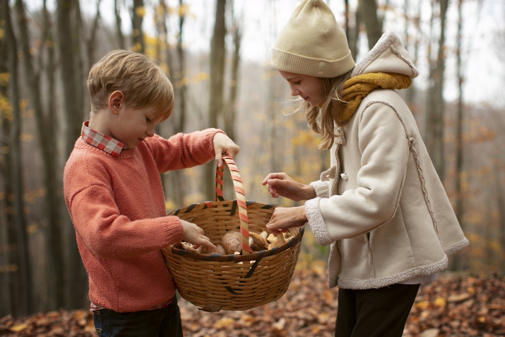 В Пермском крае вновь запустили грибные туры