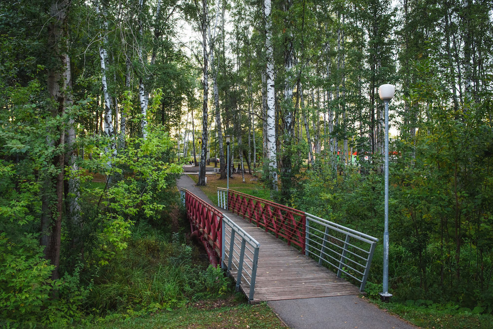 В Перми в парке им Чехова начался ремонт разноцветных мостов 