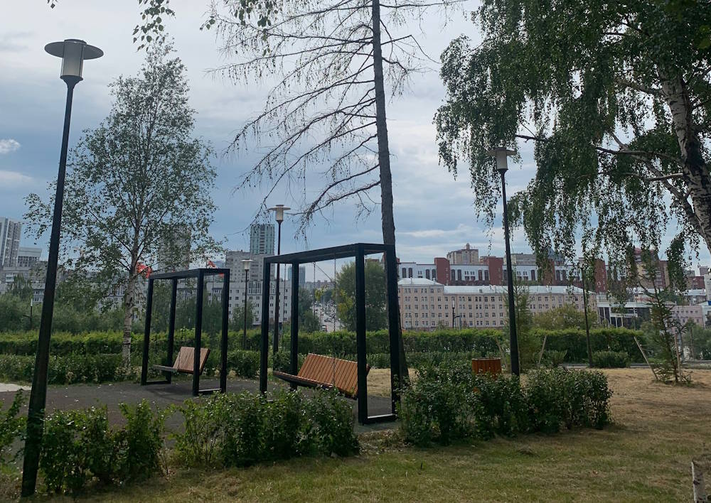 В центре Перми заменят старовозрастные деревья