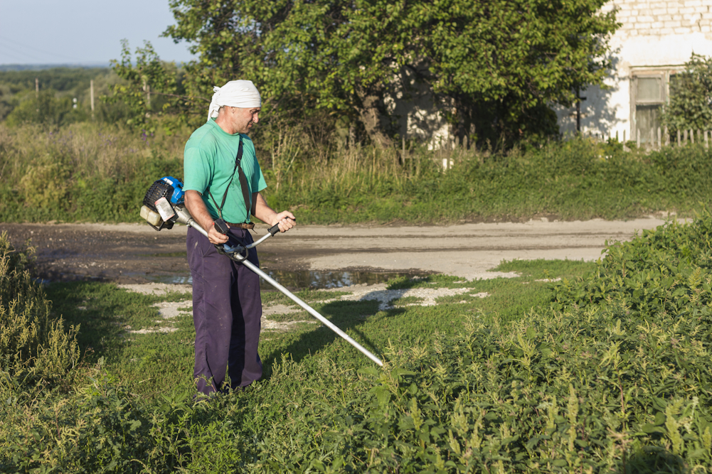 Во время засухи в Перми перестанут косить газоны