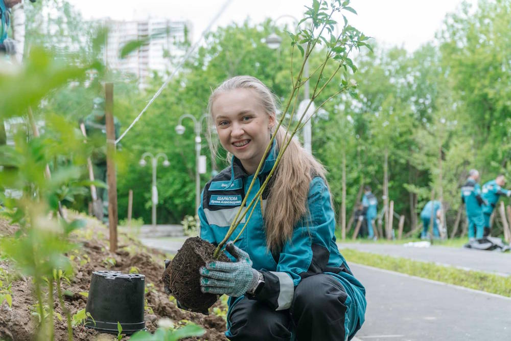 В Серебрянском парке высадили более сотни кустарников и деревьев