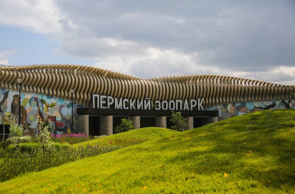 В пермском зоопарке изменят конструкцию бассейна в вольере медведя Тоши